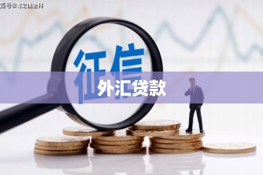 福州外汇贷款