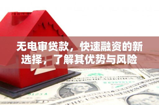 福州无电审贷款，快速融资的新选择，了解其优势与风险
