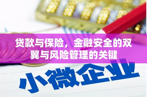 福州贷款与保险，金融安全的双翼与风险管理的关键