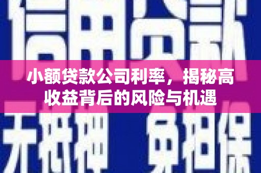 福州小额贷款公司利率，揭秘高收益背后的风险与机遇