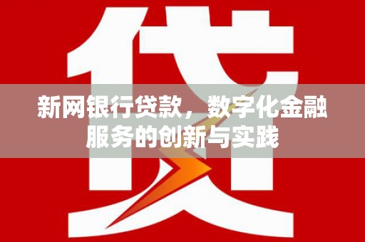 福州新网银行贷款，数字化金融服务的创新与实践