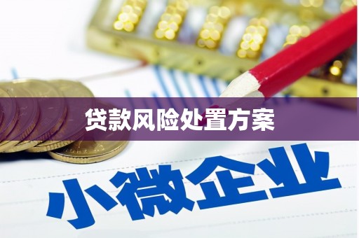 福州贷款风险处置方案