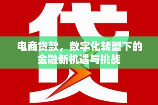 福州电商贷款，数字化转型下的金融新机遇与挑战