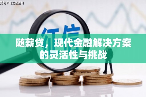 福州随薪贷，现代金融解决方案的灵活性与挑战