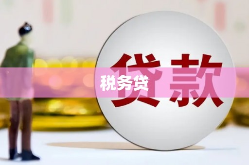 福州税务贷
