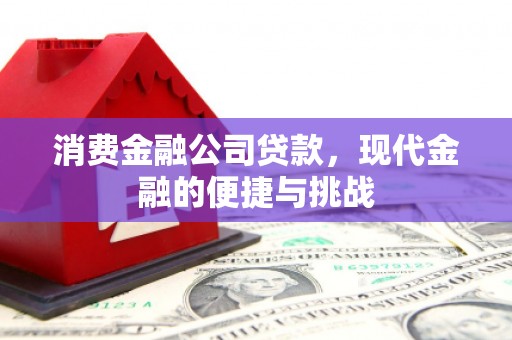 福州消费金融公司贷款，现代金融的便捷与挑战