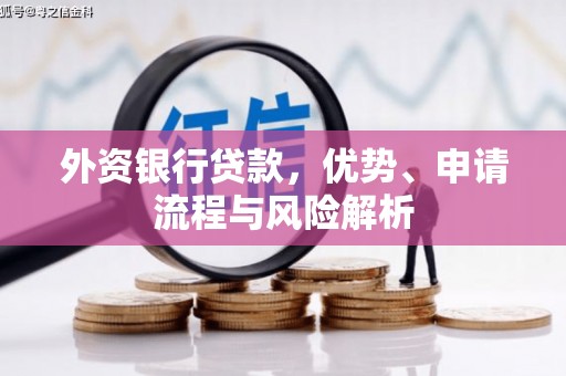 福州外资银行贷款，优势、申请流程与风险解析