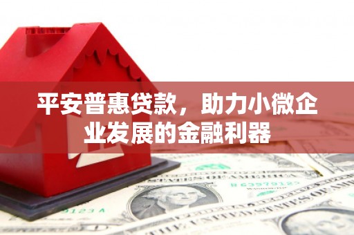 福州平安普惠贷款，助力小微企业发展的金融利器