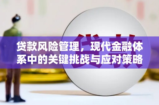 福州贷款风险管理，现代金融体系中的关键挑战与应对策略