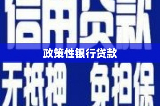 福州政策性银行贷款