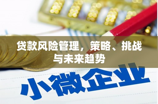 福州贷款风险管理，策略、挑战与未来趋势