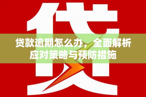 福州贷款逾期怎么办，全面解析应对策略与预防措施