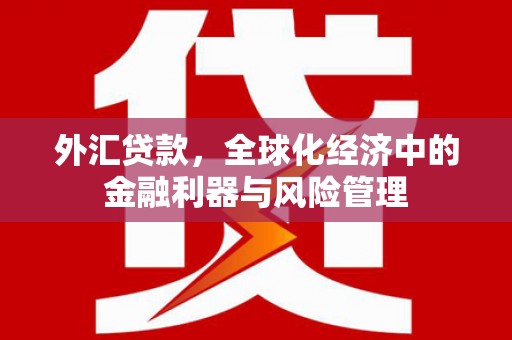 福州外汇贷款，全球化经济中的金融利器与风险管理