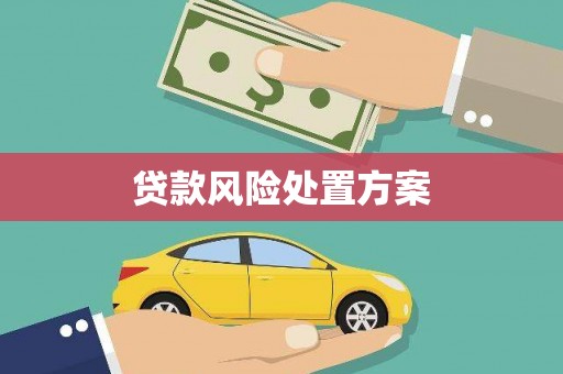 福州贷款风险处置方案