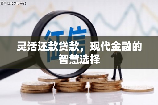 福州灵活还款贷款，现代金融的智慧选择