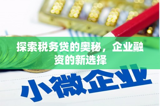 福州探索税务贷的奥秘，企业融资的新选择