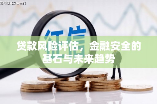 福州贷款风险评估，金融安全的基石与未来趋势