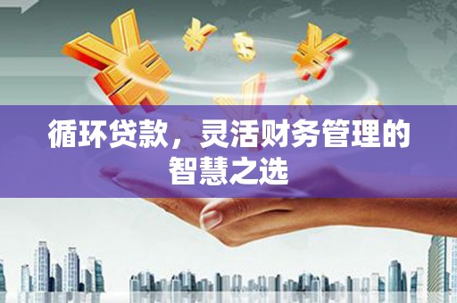 福州循环贷款，灵活财务管理的智慧之选