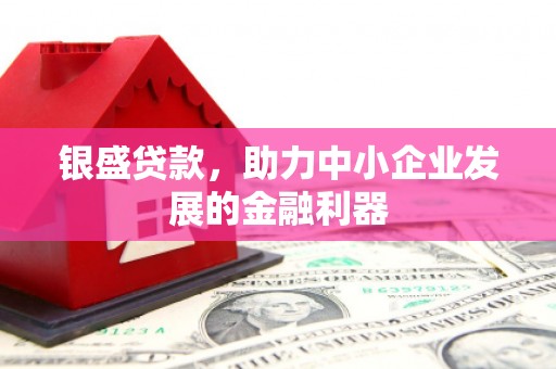 福州银盛贷款，助力中小企业发展的金融利器