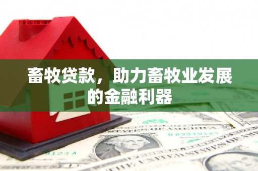 福州畜牧贷款，助力畜牧业发展的金融利器