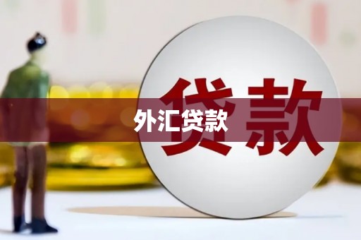 福州外汇贷款