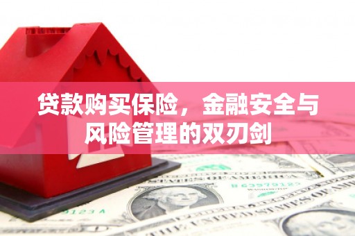 福州贷款购买保险，金融安全与风险管理的双刃剑