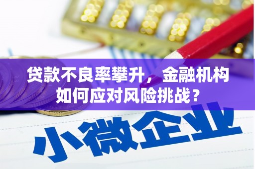 福州贷款不良率攀升，金融机构如何应对风险挑战？