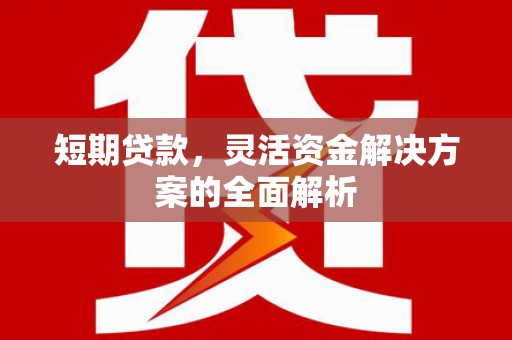 福州短期贷款，灵活资金解决方案的全面解析