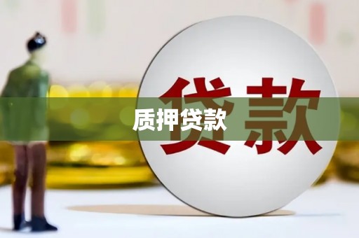 福州质押贷款