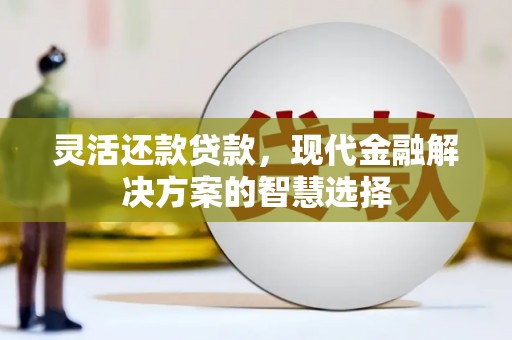 福州灵活还款贷款，现代金融解决方案的智慧选择