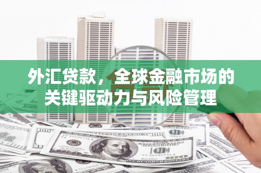 福州外汇贷款，全球金融市场的关键驱动力与风险管理