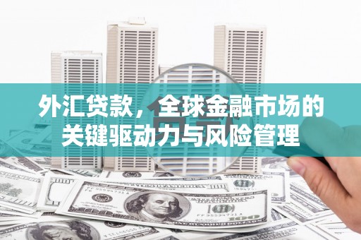 福州外汇贷款，全球金融市场的关键驱动力与风险管理