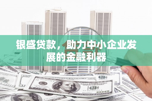 福州银盛贷款，助力中小企业发展的金融利器