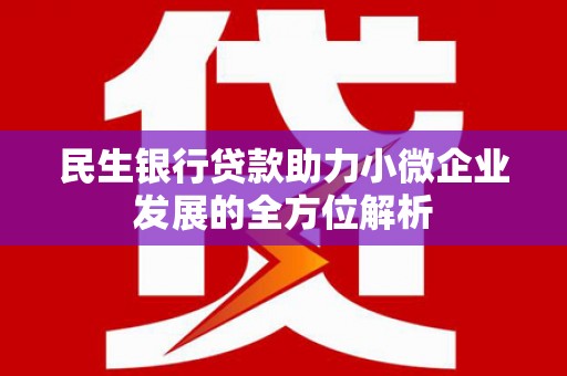 福州民生银行贷款助力小微企业发展的全方位解析