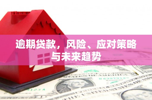 福州逾期贷款，风险、应对策略与未来趋势