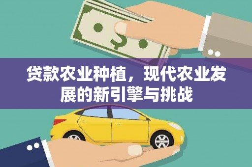 福州贷款农业种植，现代农业发展的新引擎与挑战
