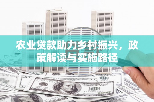 福州农业贷款助力乡村振兴，政策解读与实施路径