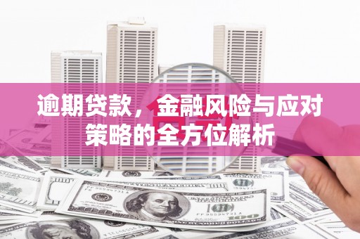 福州逾期贷款，金融风险与应对策略的全方位解析