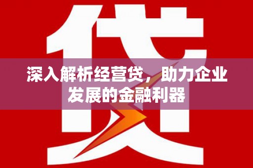福州深入解析经营贷，助力企业发展的金融利器