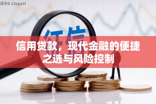 福州信用贷款，现代金融的便捷之选与风险控制