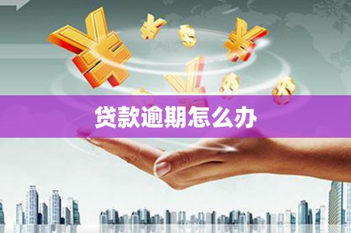 福州贷款逾期怎么办