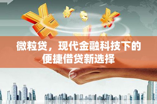 福州微粒贷，现代金融科技下的便捷借贷新选择
