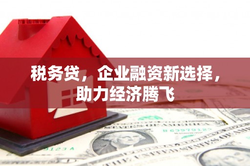 福州税务贷，企业融资新选择，助力经济腾飞