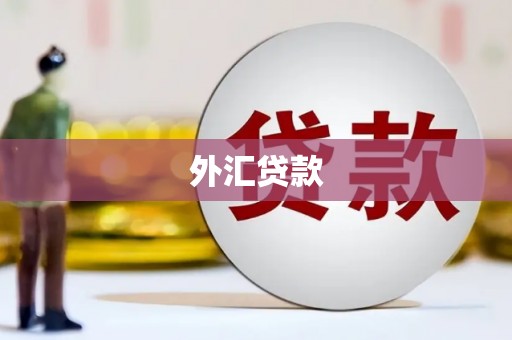 福州外汇贷款