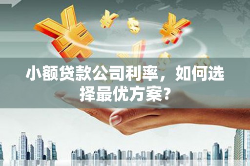 福州小额贷款公司利率，如何选择最优方案？