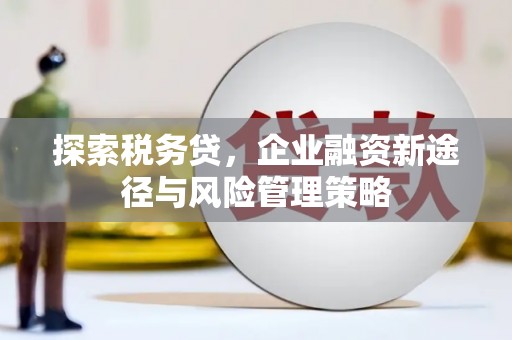 福州探索税务贷，企业融资新途径与风险管理策略