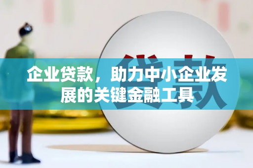 福州企业贷款，助力中小企业发展的关键金融工具