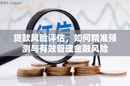 福州贷款风险评估，如何精准预测与有效管理金融风险