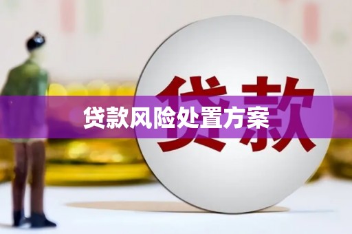 福州贷款风险处置方案