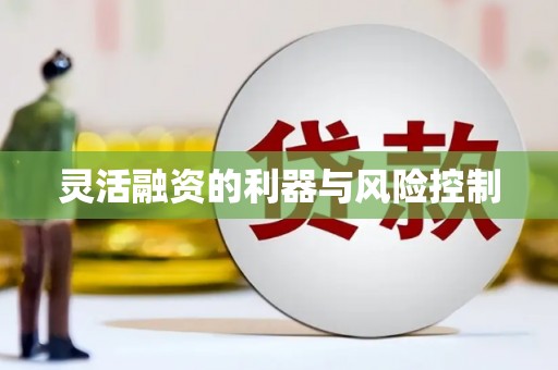 福州灵活融资的利器与风险控制